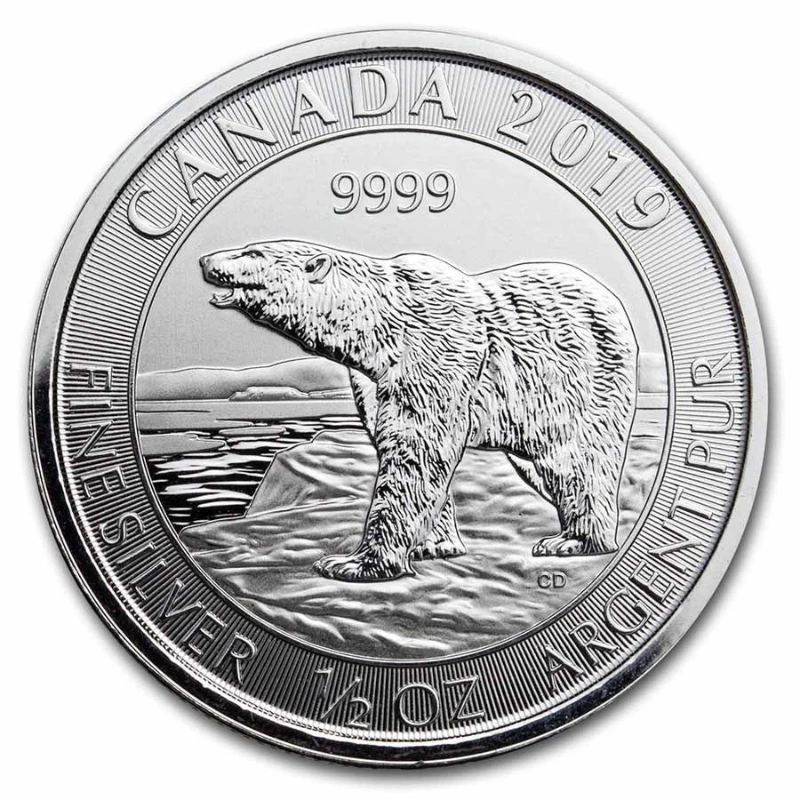Polar Bear